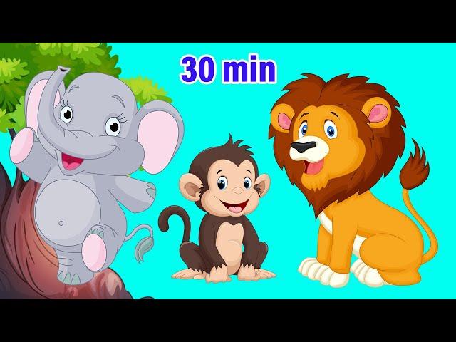 Animal Sounds Song and More Nursery Rhymes & Kids Songs | LittleKidsTV