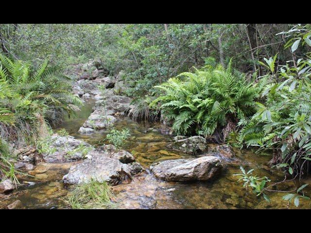 Freshwater ecology of the Wit River (Witrivier), Baviaanskloof - South Africa