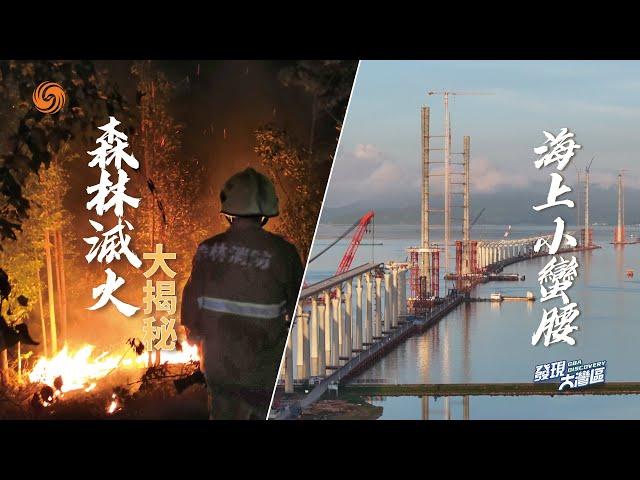 如何在颱風頻發海域架設跨海通道？看“基建狂魔”又一代表作──大灣區“海上小蠻腰”黃茅海跨海通道｜無上限高溫，記者另類避暑，探訪森林消防訓練基地，揭秘森林滅火！｜發現大灣區