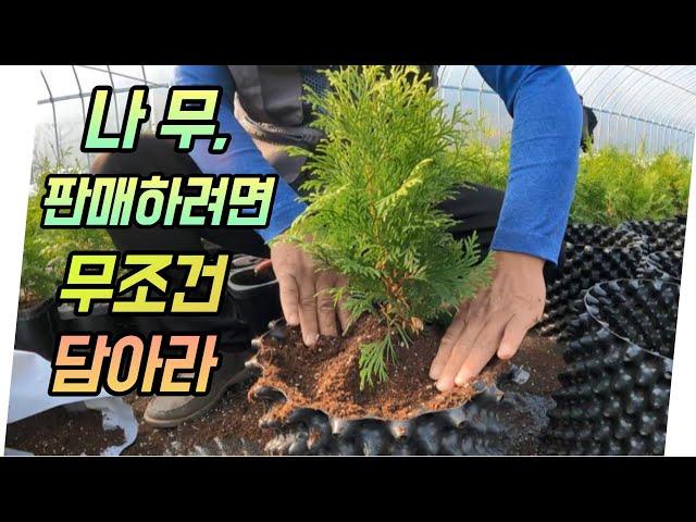 사계절 소득창출의 비밀 (feat.조경의 미래는 이렇게 바뀝니다)