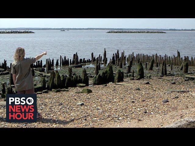 Landscape architect Kate Orff shares visionary goal of nature-based infrastructure