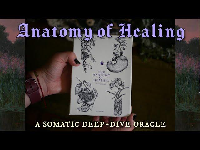 Anatomy of Healing: A Somatic Deep-Dive Oracle • In-Depth Review