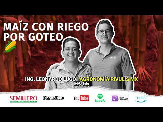 EP. 65 Riego por Goteo: Diseño y Eficiencia en Maíz  | Leonardo Lugo