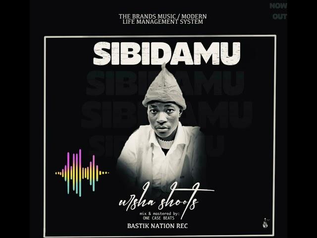 Sibidamu  audio by urshashoots #the brands music