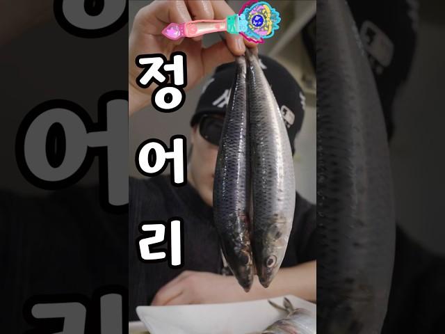 일본에서만 먹는 식초에 담군 생선?