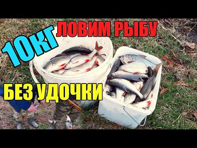 10 КГ РЫБЫ ЗА ПАРУ ЧАСОВ!!! Удачная рыбалка на экраны-телевизоры.