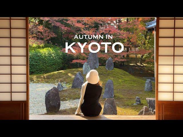 Kyoto in autumn | 3-day itinerary | teahouse, cafes, temples & red leaves spots | Japan VLOG