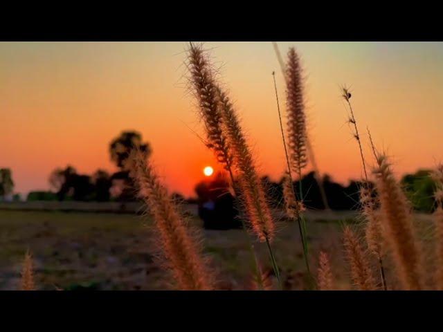 Video cinematic 30 detik | story wa | senja | aesthetic