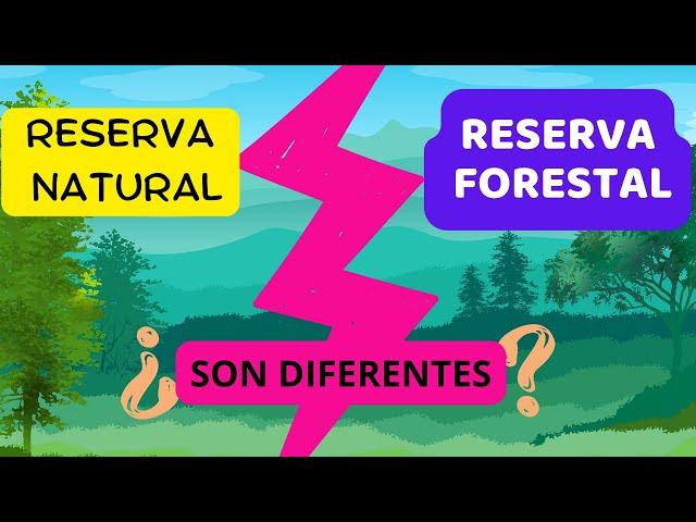 Qué es una RESERVA FORESTAL - DESAPARECERÁN?