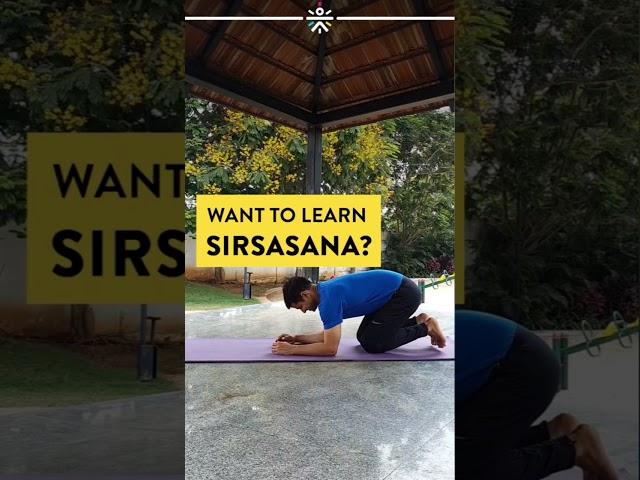 How To Do Sirsasana | How To Do Headstand | Headstand For Beginners | Cult Fit  #Shorts