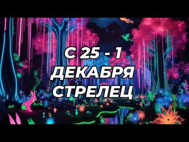 ️️СТРЕЛЕЦ. ️С 25 - 1 декабря 2024.️