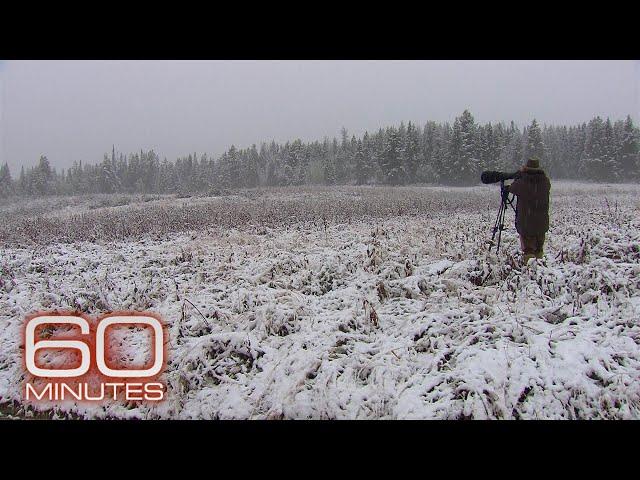 Earth Day: Photographer capturing the beauty and fragility of nature | 60 Minutes Archive