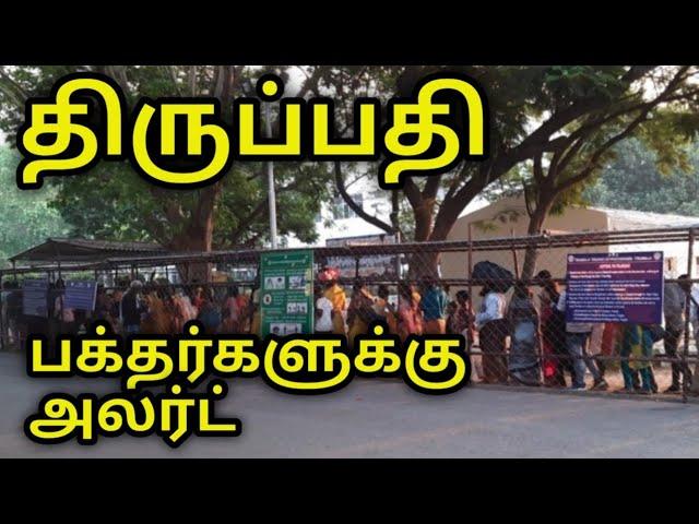 திருப்பதி... பக்தர்களுக்கு அலர்ட் latest updates TTD