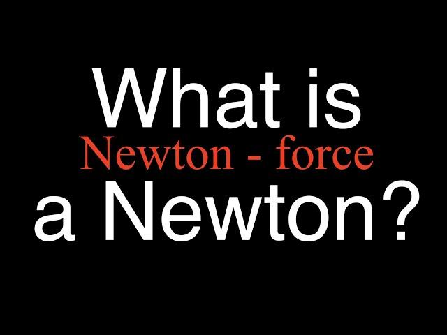 What is a Newton? An Explanation