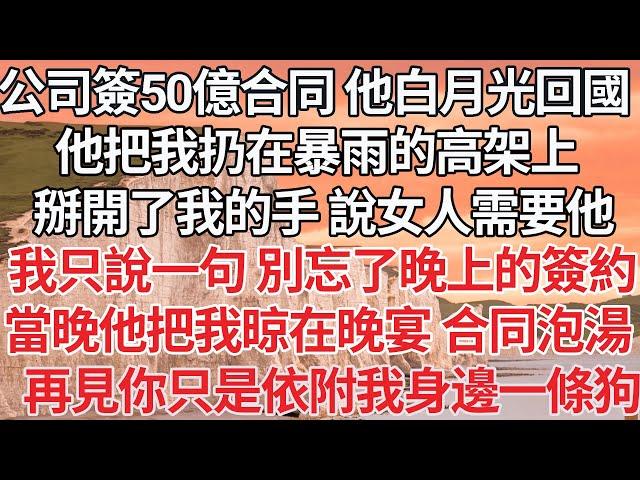 【完结】公司簽50億合同那天 他白月光回國，他把我扔在暴雨的高架上，掰開了我的手 說女人需要他，我只說一句 別忘了晚上的簽約，當晚他把我晾在晚宴 合同泡湯，再見你只是依附我身邊一條狗【爽文】【爱情】