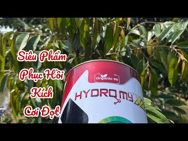 SIÊU PHẨM PHỤC HỒI Sầu Riêng : HYDRO MỸ X2