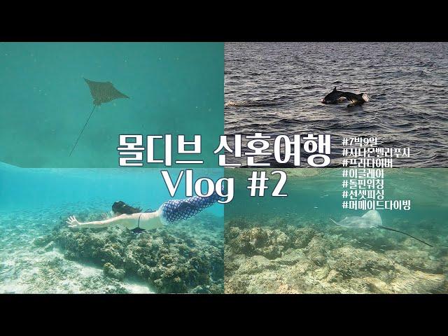 [신혼여행 Vlog #2] 다이버부부가 몰디브바다를 즐기는 법