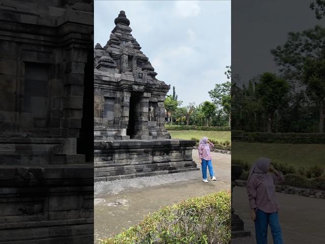 Wisata Sejarah ‼️ Candi Gebang Warisan Wangsa Sanjaya #shorts #yosionga #yogyakarta