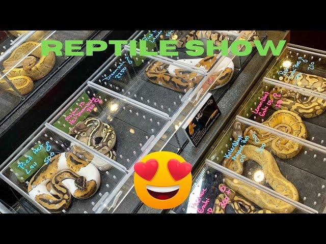 Hamburg PA ,reptile expo 2023 ￼