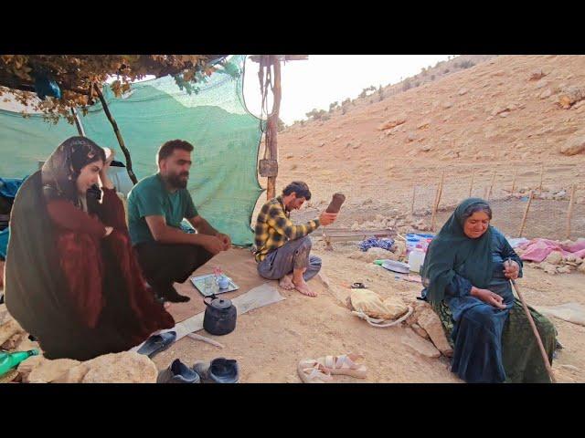 "Grandma's Gift: Sheep to Support Farzaneh in Tough Times"