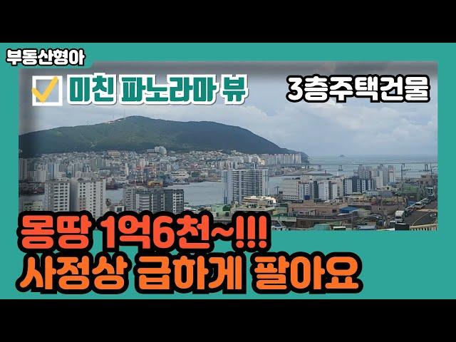 부산상가주택건물매매 초급매 서구 초장동 미친 파노라마뷰 3층 건물매매