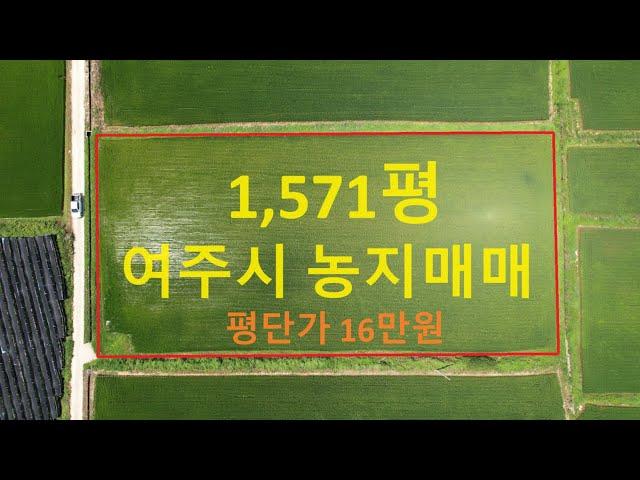 (여주시 점동면 농지매매!)【여주부동산랜드 210번 매물】 경지정리된 논 5,192.1㎡(1,571평) 평단가 16만원, 2억 5136만원