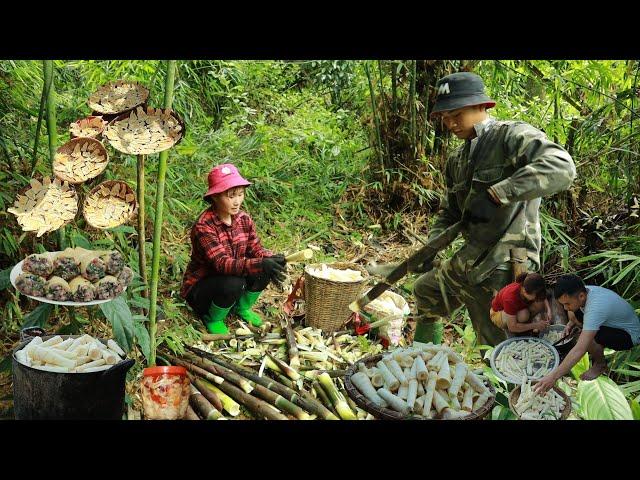 Building a new life Ep.35 | picking bamboo shoots and dishes from bamboo shoots | Live with nature