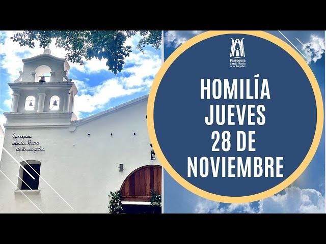 Homilía Jueves 28 de Noviembre 2024 -  Parroquia Santa María de los Ángeles