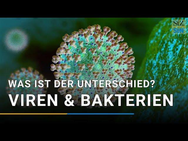 Viren oder Bakterien – wo ist der Unterschied?