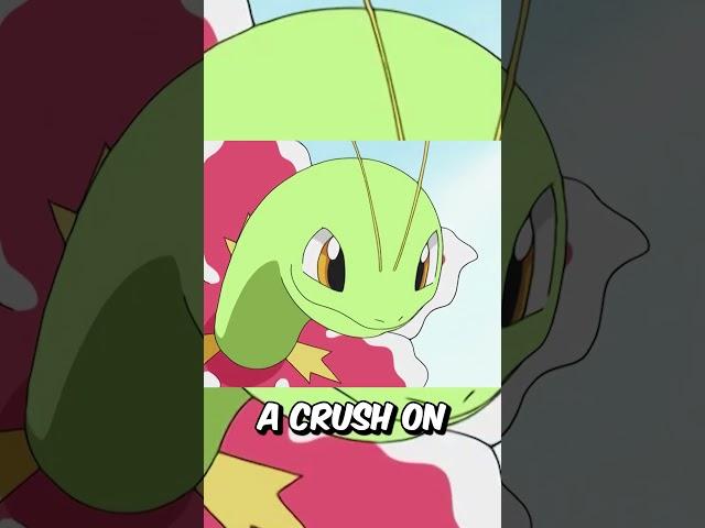 How Ash's Treecko Evolved