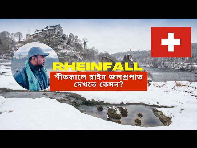 সুইজারল্যান্ডের রাইন জলপ্রপাতটি শীতকালে দেখতে কেমন?