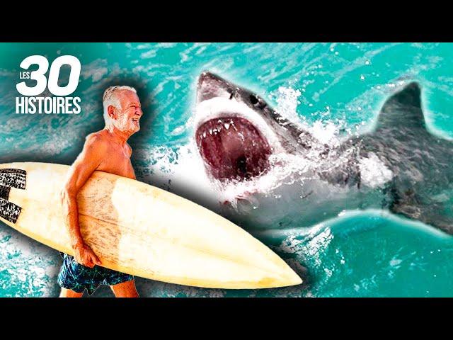 Ce surfeur est attaqué par un requin  - Les histoires insolites