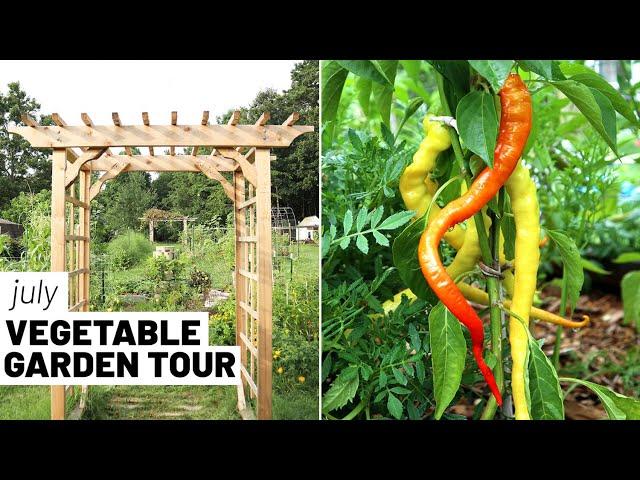 The summer homestead garden - July 2022, zone 7 full vegetable garden tour // GroundedHavenHomestead