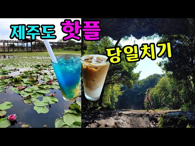 제주도 동쪽 여행 코스 핫플레이스 제주 당일치기 하루코스 1차 Top 10  제주도 가볼만한곳!