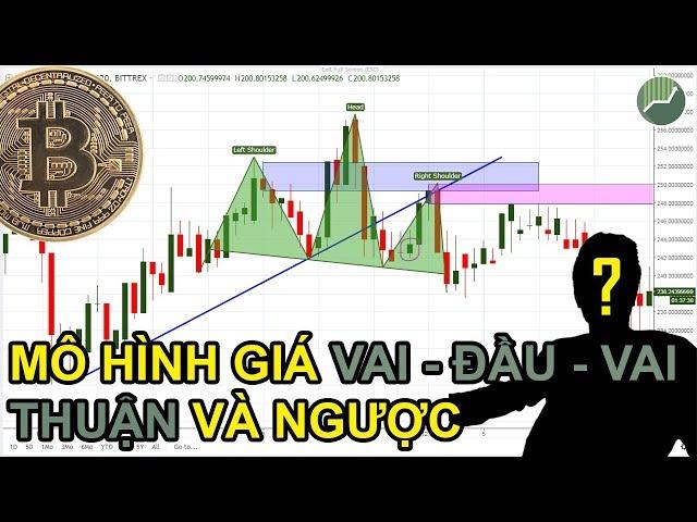 Phân tích kỹ thuật P15 | Mô hình giá Vai - Đầu - Vai thuận và ngược trong Trade Coin