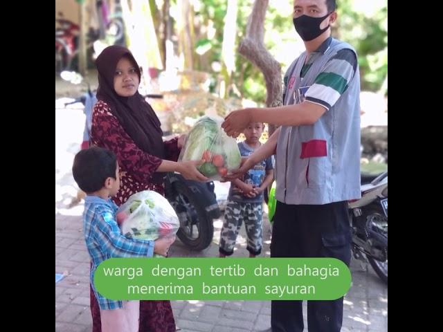 2,6 Ton Sayuran Segar Dibagikan GRATIS - Hasil Sedekah dari Donatur Yayasan Islam Amanah