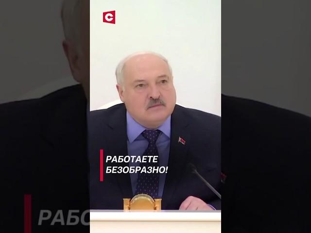 Лукашенко: Работаете безобразно! #shorts #лукашенко #новости #политика #беларусь #коррупция