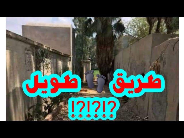 طريق.........طويل   ⁉️⁉️⁉️