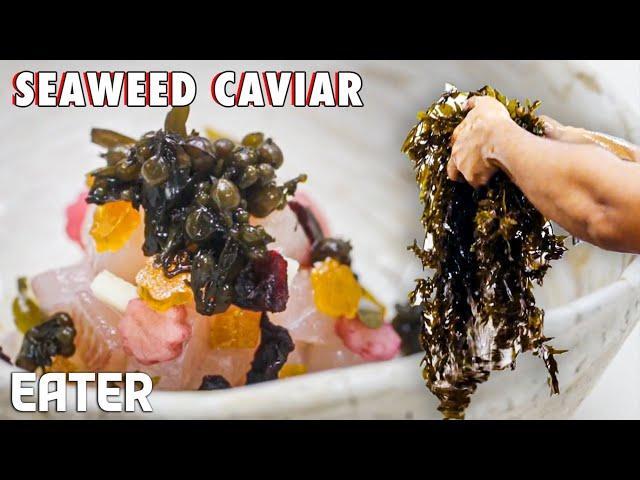 How Seaweed Made Its Way Into Fine Dining — Vendors