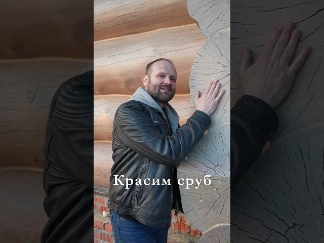 ПРАВИЛЬНАЯ ШЛИФОВКА и ПОКРАСКА СРУБА #shorts #шлифовка #покраска