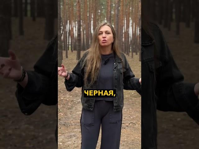 Что делает человека ведьмой? | Ведьма Елен | Эзотерический центр АЛАТЫРЬ