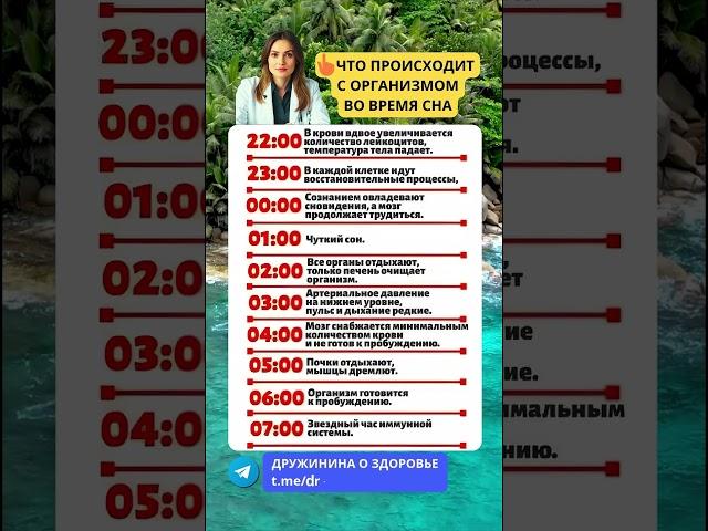 Что происходит с организмом во время сна #сон #организм #зож #здоровье