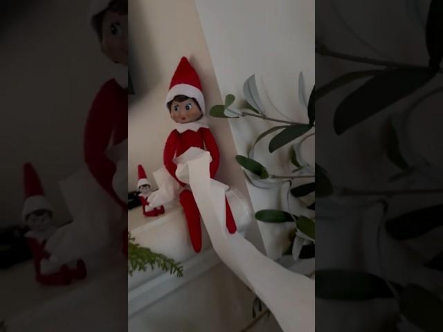 TOiLET PAPER PRANK by Snowy and Elfy - Adley Niko & Navey find DAY 7 surprise from our family elf 