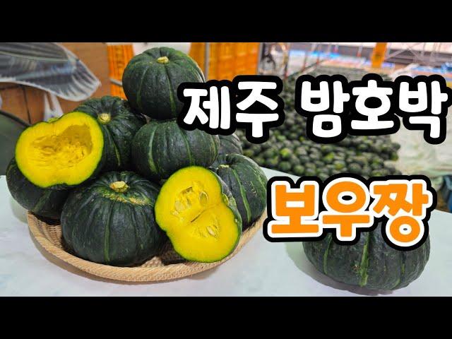 제주 보우짱 밤호박! 미니단호박 실시간 생방송