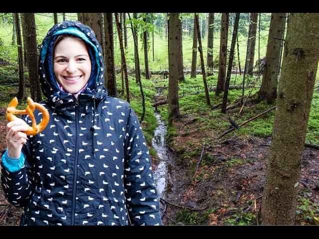 Beautiful Bavarian Forest National Park