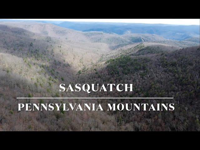 Sasquatch: Searching The Pennsylvania Mountains