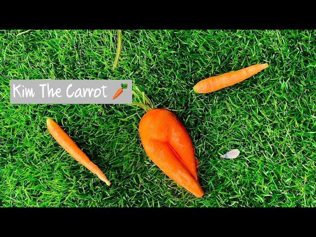 Lush Thailand : Kim The Carrot  ( Valentine's Day 2022 ) Bubble Bar | Demo