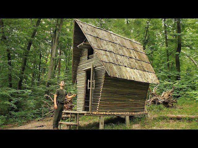 Bushcraft Cabin in the Forest, Primitive Technology, Life Off Grid