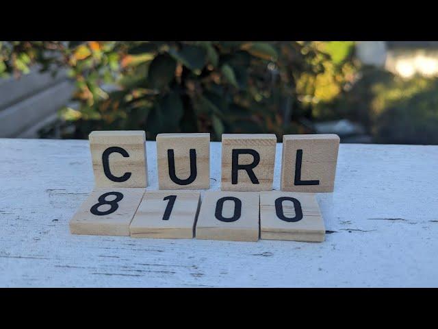 curl 8.10.0 with Daniel Stenberg