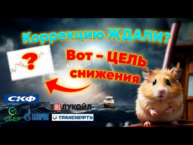 Где ЦЕЛЬ коррекции?! Эти бумаги ВЫТЯНУТ рынок…